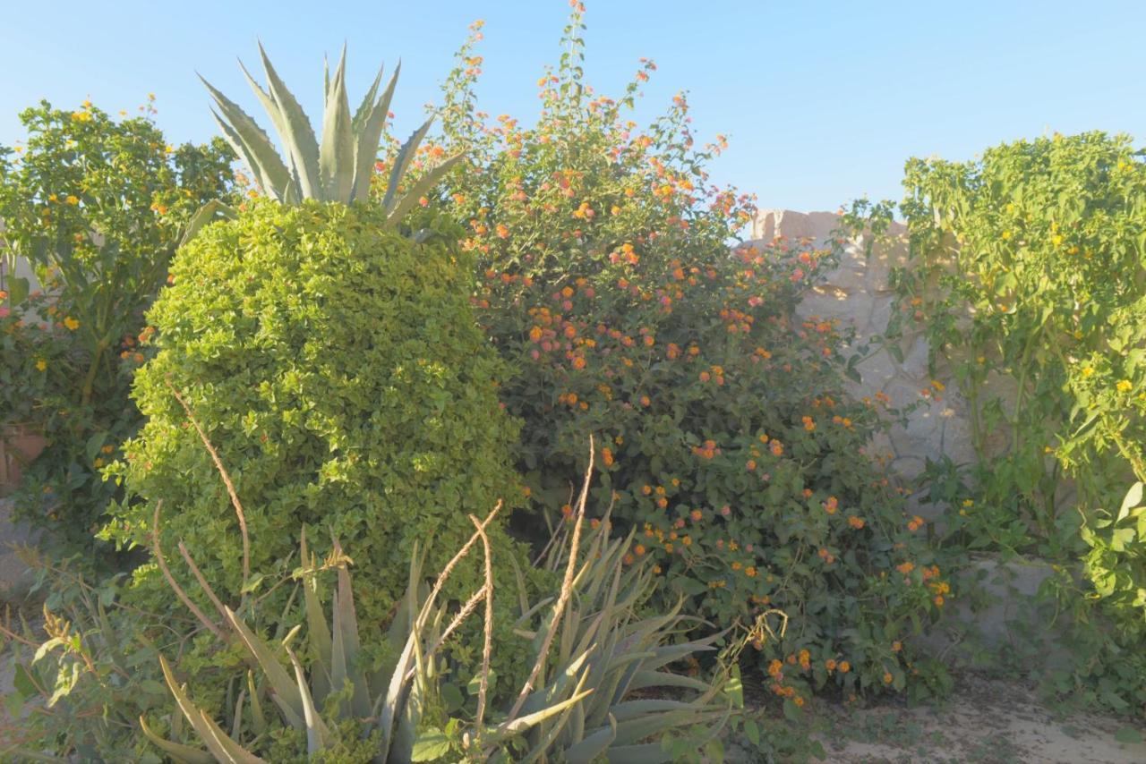 Bed and Breakfast Happy Bedouin House Petra Al Hayy Exterior foto