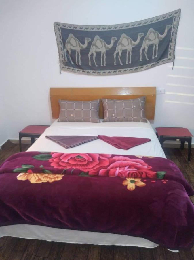Bed and Breakfast Happy Bedouin House Petra Al Hayy Exterior foto